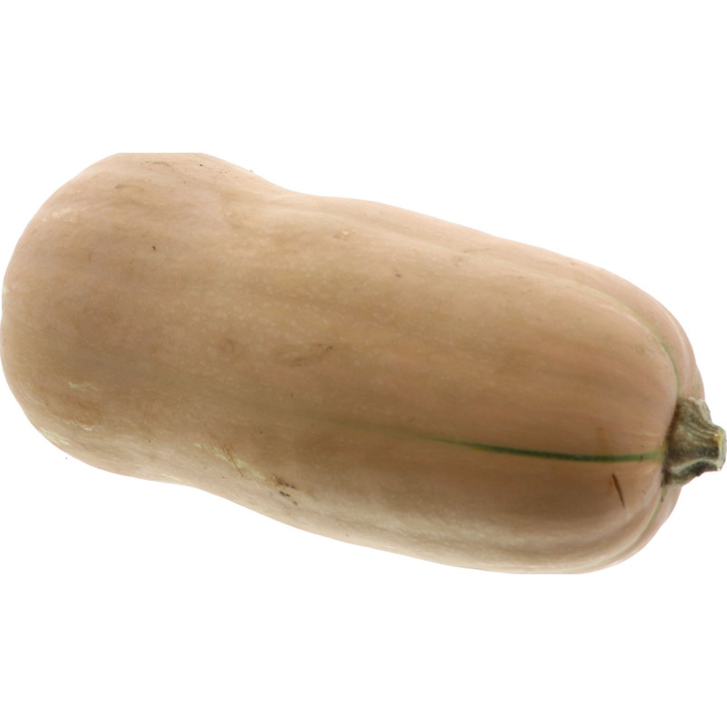 POTIRON BUTTERNUT 12KG